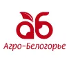 Группа компаний «Агро»